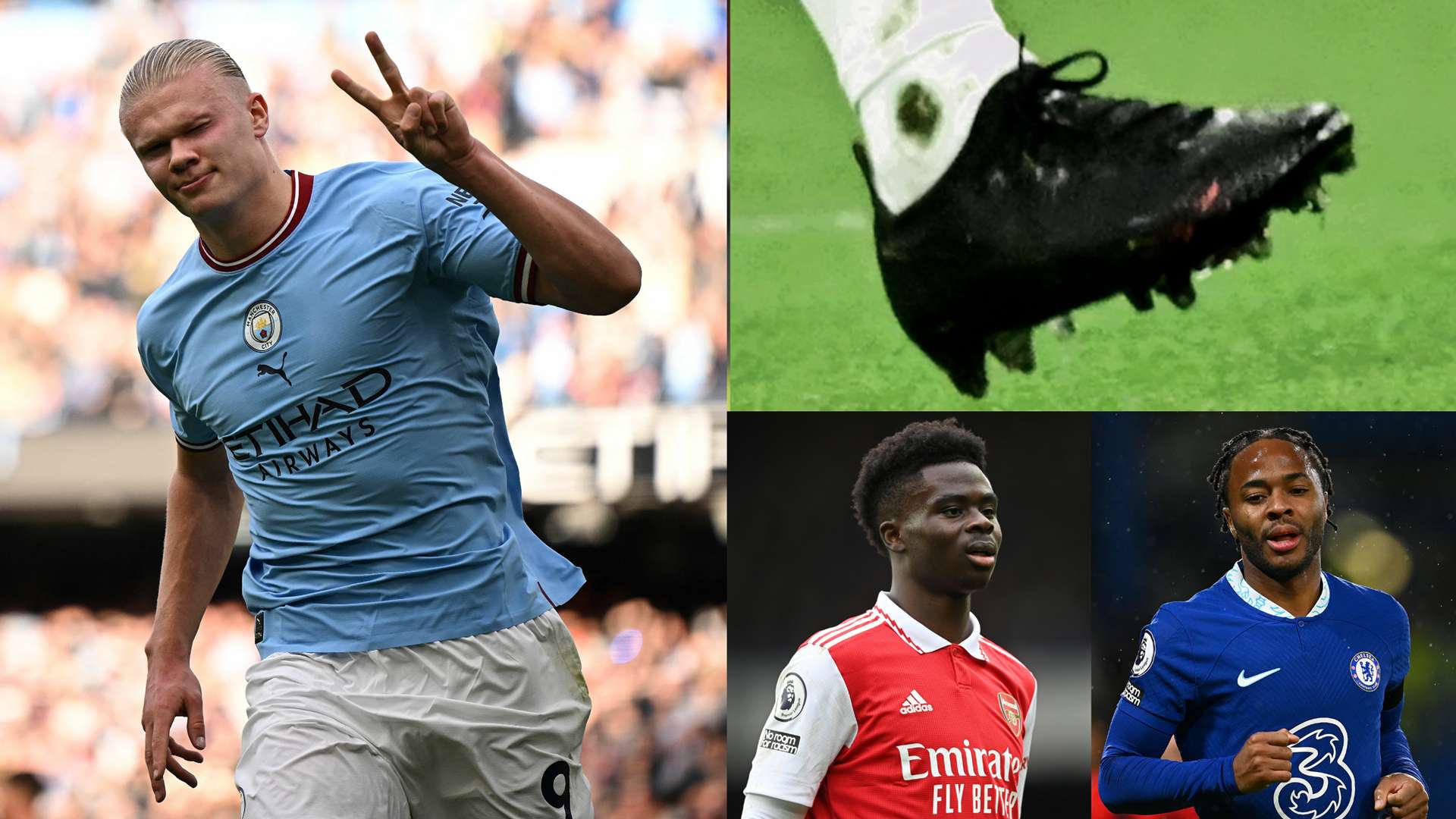 他不仅希望 他不仅希望