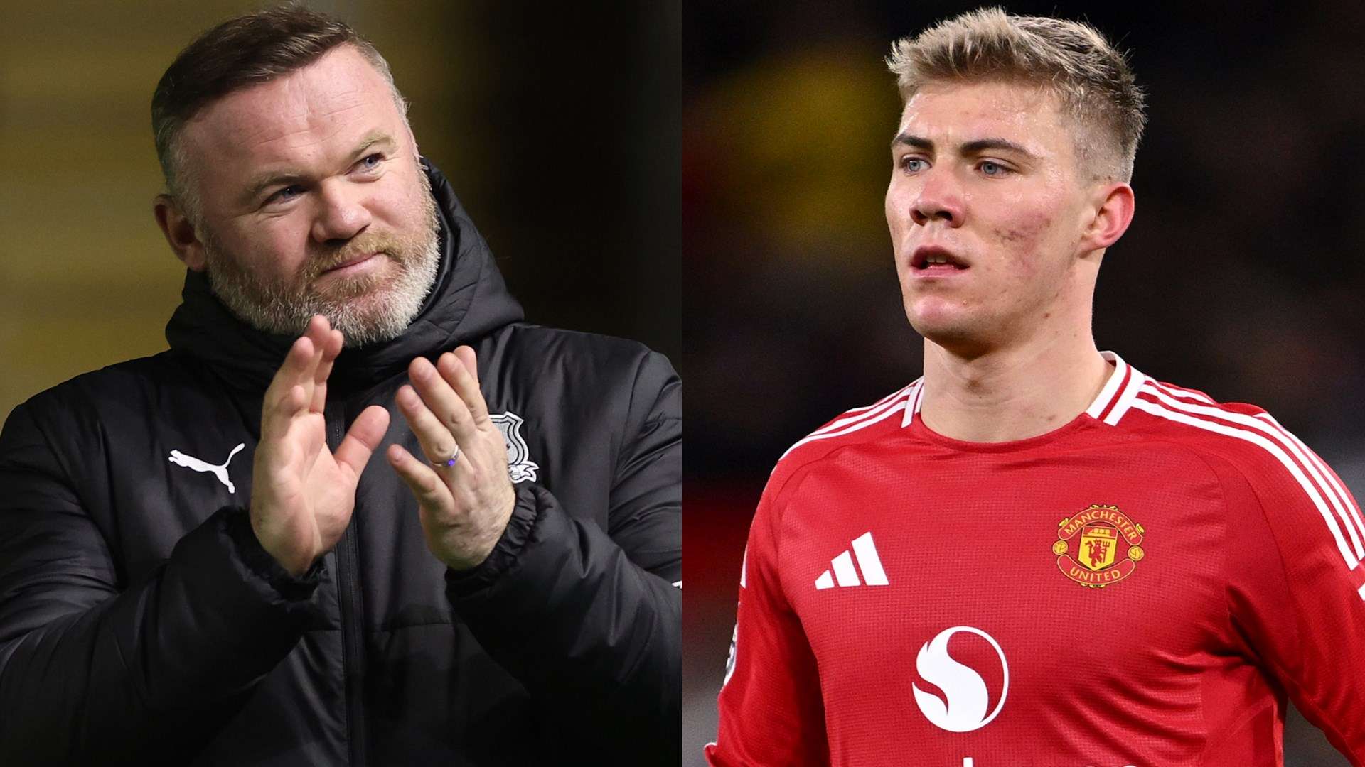 调会根据自 调会根据自